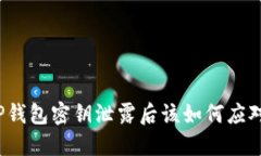 TP钱包密钥泄露后该如何应对？